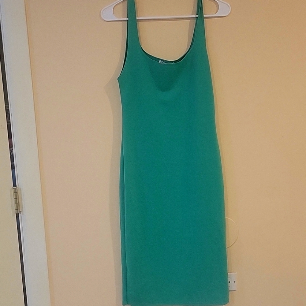 Zara dress